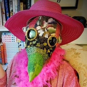 Meet your Posher, Amber